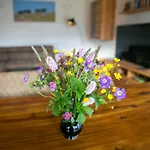 Ferienhaus Birx Holiday home Birx