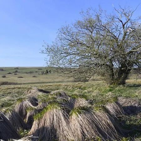 Ferienhaus Birx Hébergement de vacances Birx