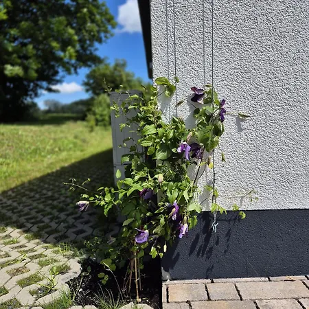 Ferienhaus Birx Birx