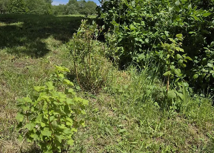 Vakantiehuis Ferienhaus Birx