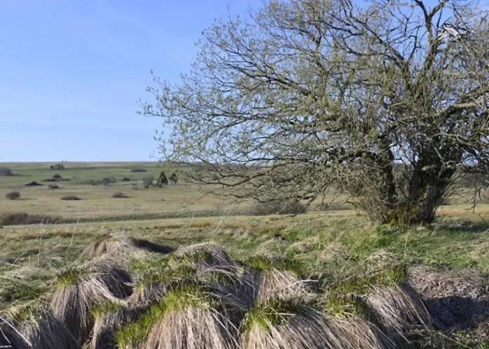 Ferienhaus Birx Vakantiehuis Birx