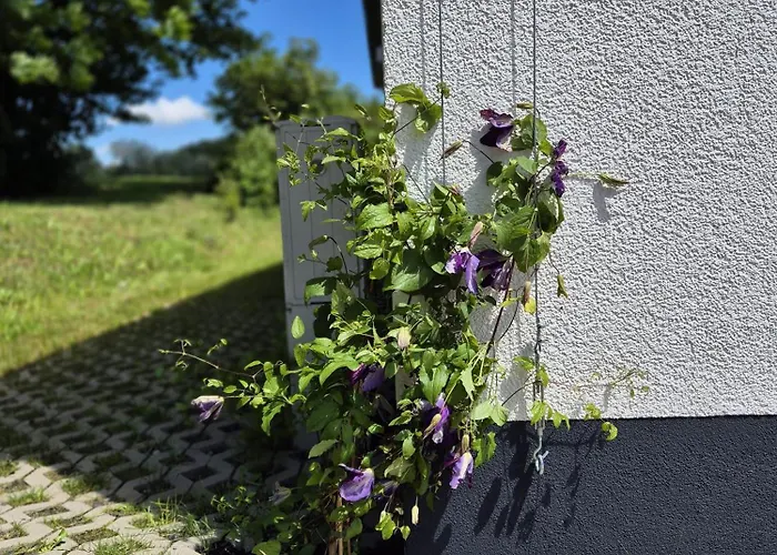 Ferienhaus Birx Birx